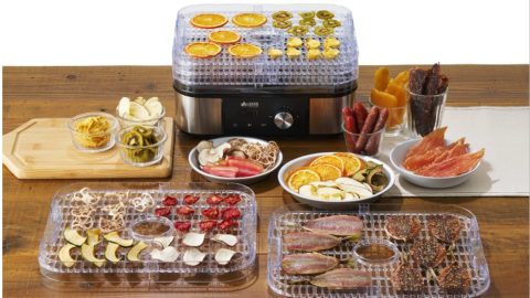 ロゴスから手軽にドライフードがつくれる「HIMONOドライヤー」が登場。キャンプで干物、はじめませんか？