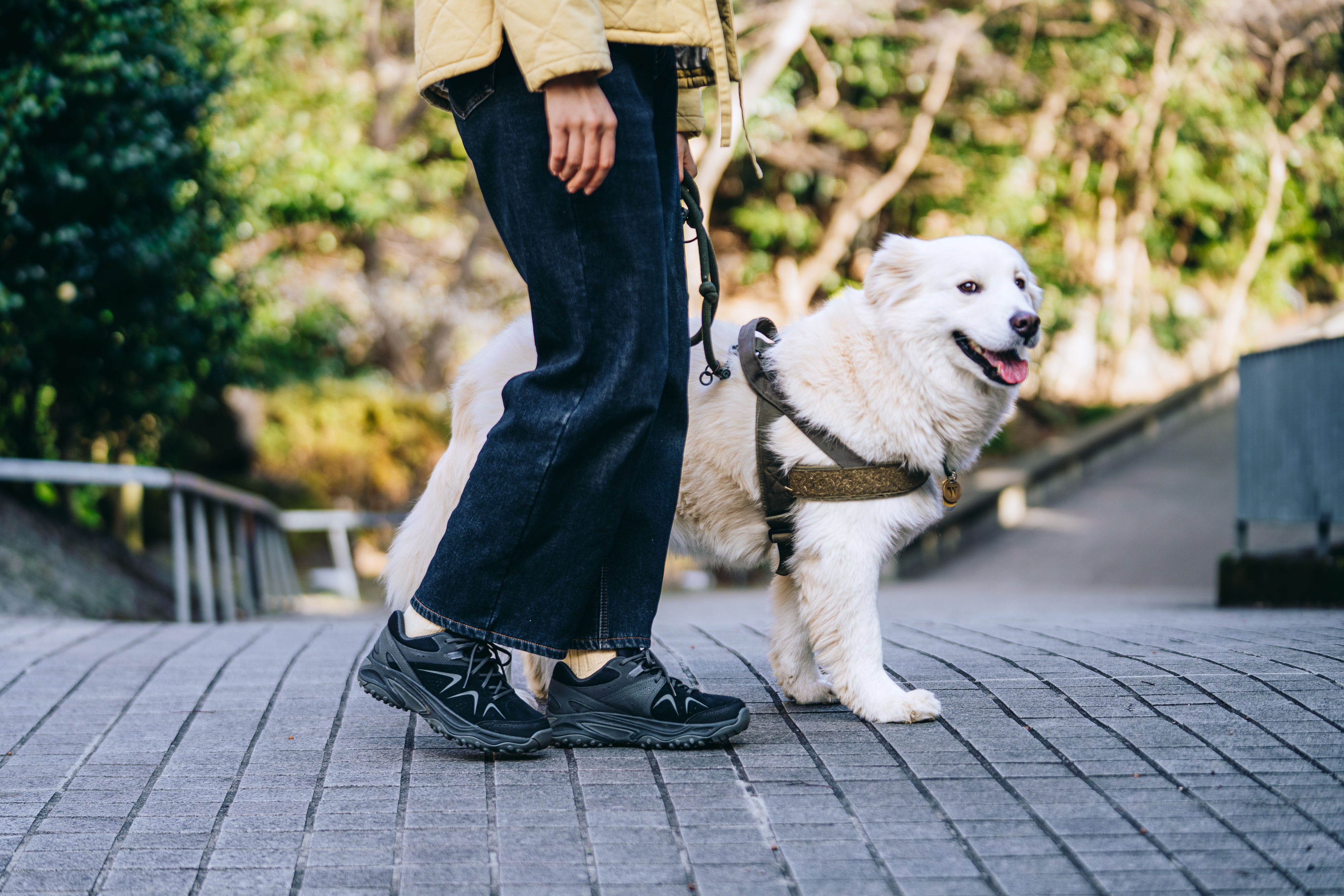 MERRELLの最新ハイキングシューズ「Yokota 3」は、トレイルも街歩きも超快適！