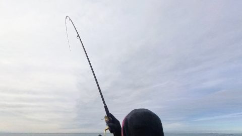 釣り竿は長いほうがいい？ 長尺ロッドのメリットとデメリットを解説