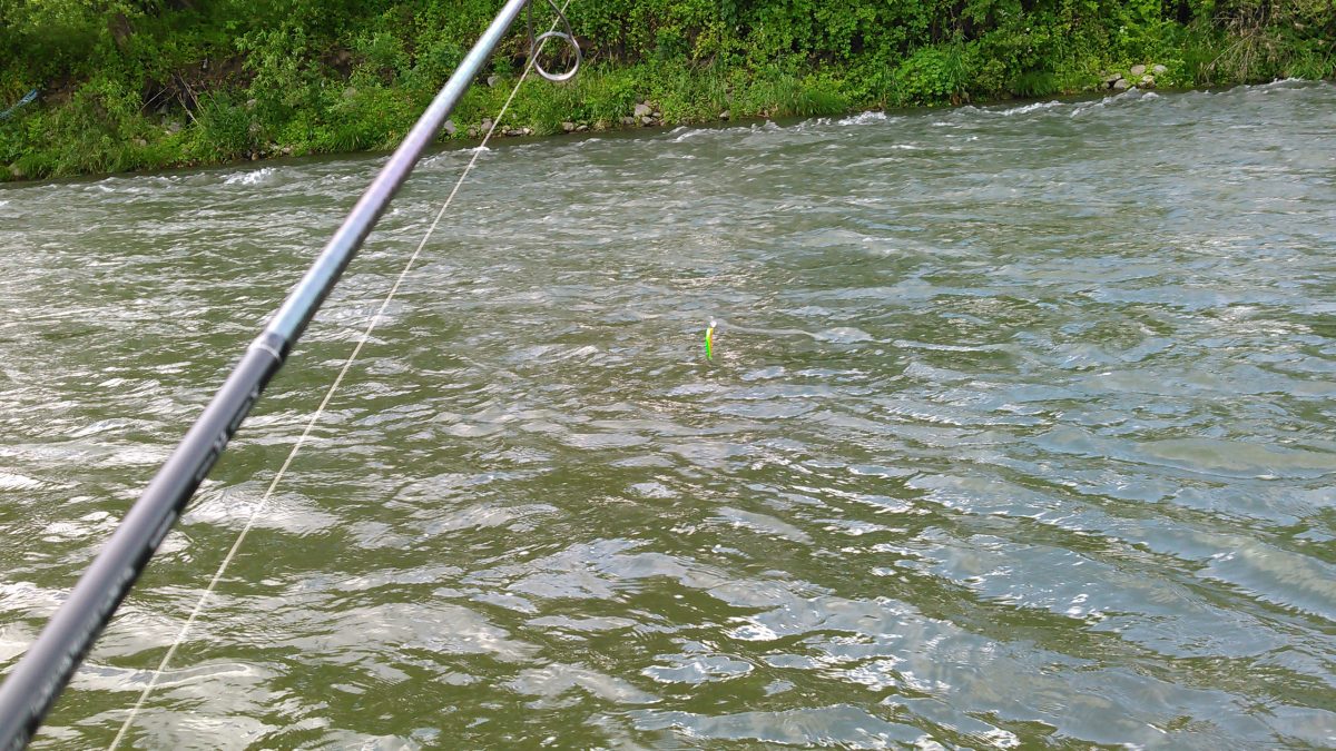 トラウトフィッシング