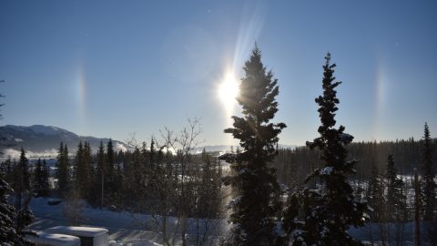 マイナス30度の世界を体感！ユーコンの極寒のなかで見つけた自然の美