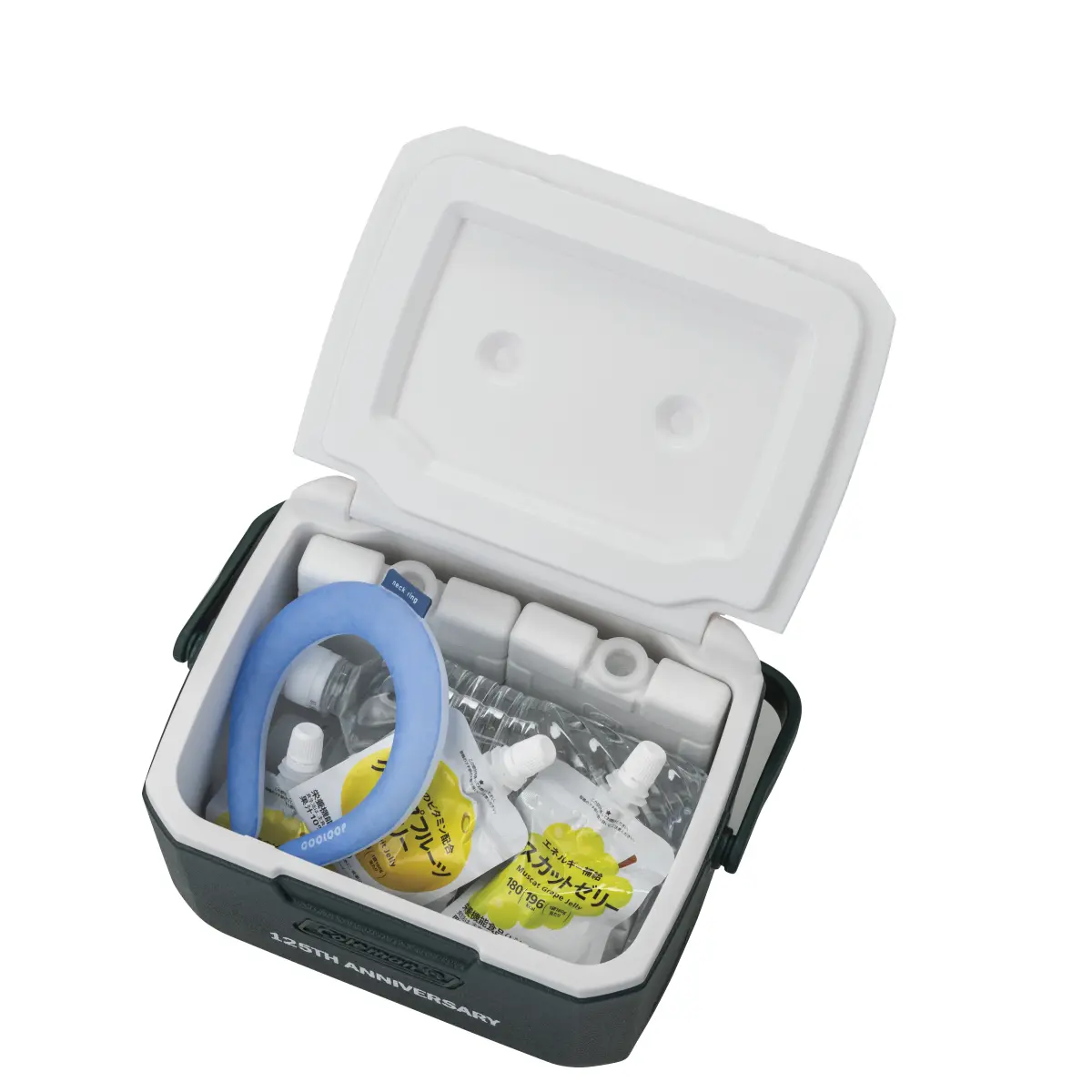 Coleman (コールマン)／125 リミテッド テイク6(グリーン)