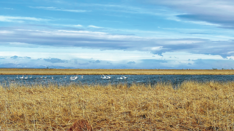 プロスキーヤー・三浦豪太、道東のラストフロンティアをMTBで走る！