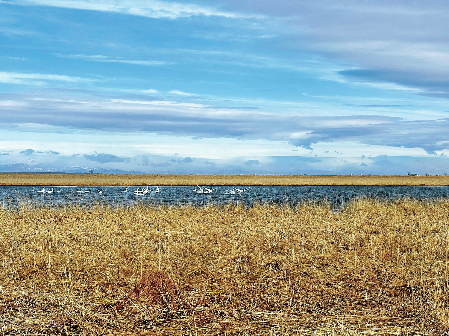 プロスキーヤー・三浦豪太、道東のラストフロンティアをMTBで走る！