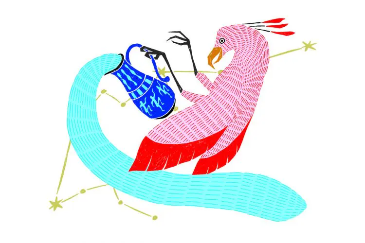 水瓶座（2/13～3/14）2026年4月の運勢&ラッキーアウトドア～内田真代のインド占星術占い～