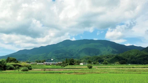 【2026年】大阪で日帰り登山のおすすめ6選！初心者＆ファミリーにおすすめの山に楽しく登ろう