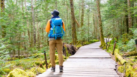 登山リュックの人気ブランドおすすめ6選！代表モデルも詳しく解説