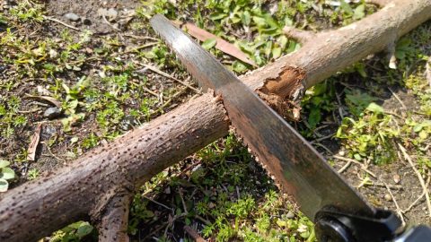 じつは使える便利アイテム！ダイソーのノコギリの魅力を徹底分析！