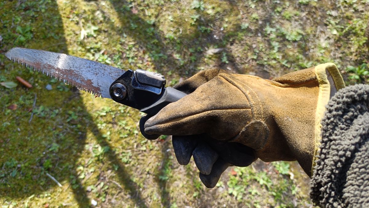 のこぎりを握っている様子。