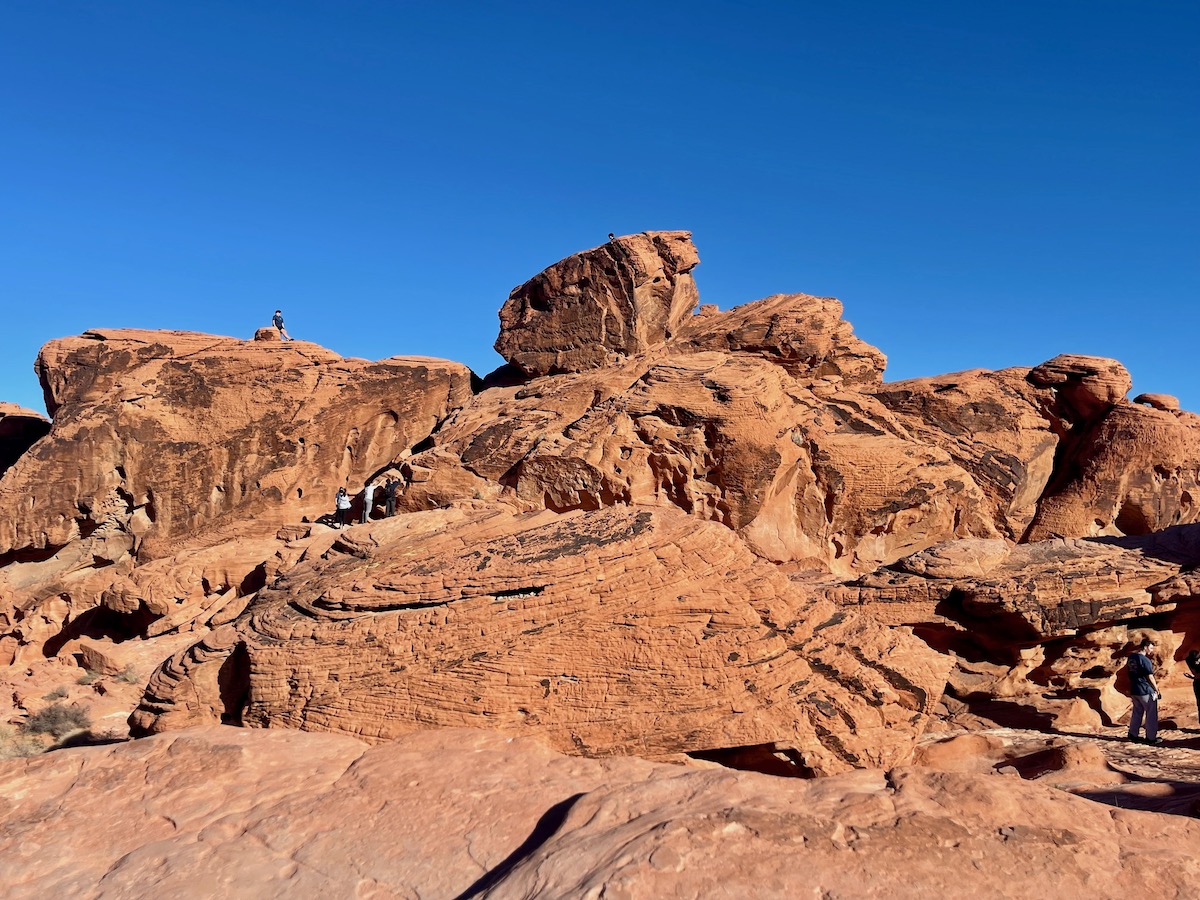 ビーハイブ付近