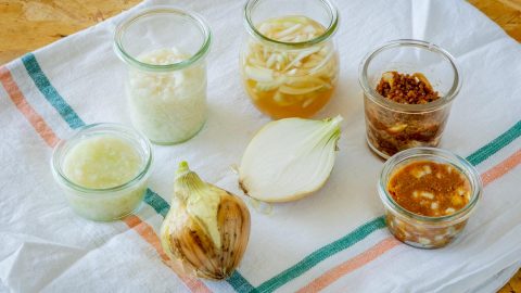 新玉ねぎで作る「さ・し・す・せ・そ」調味料レシピ！発酵の力で春の味を楽しもう