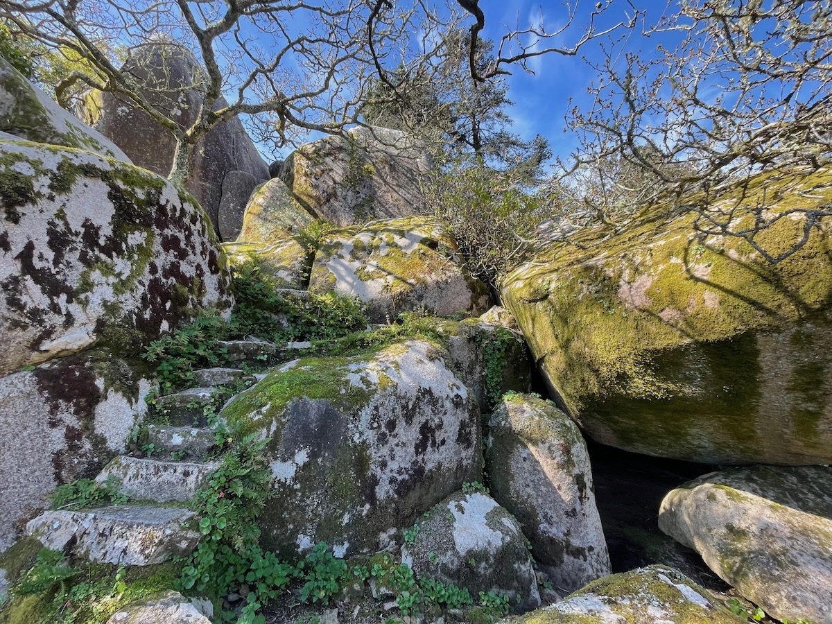 シャレーストーンズ