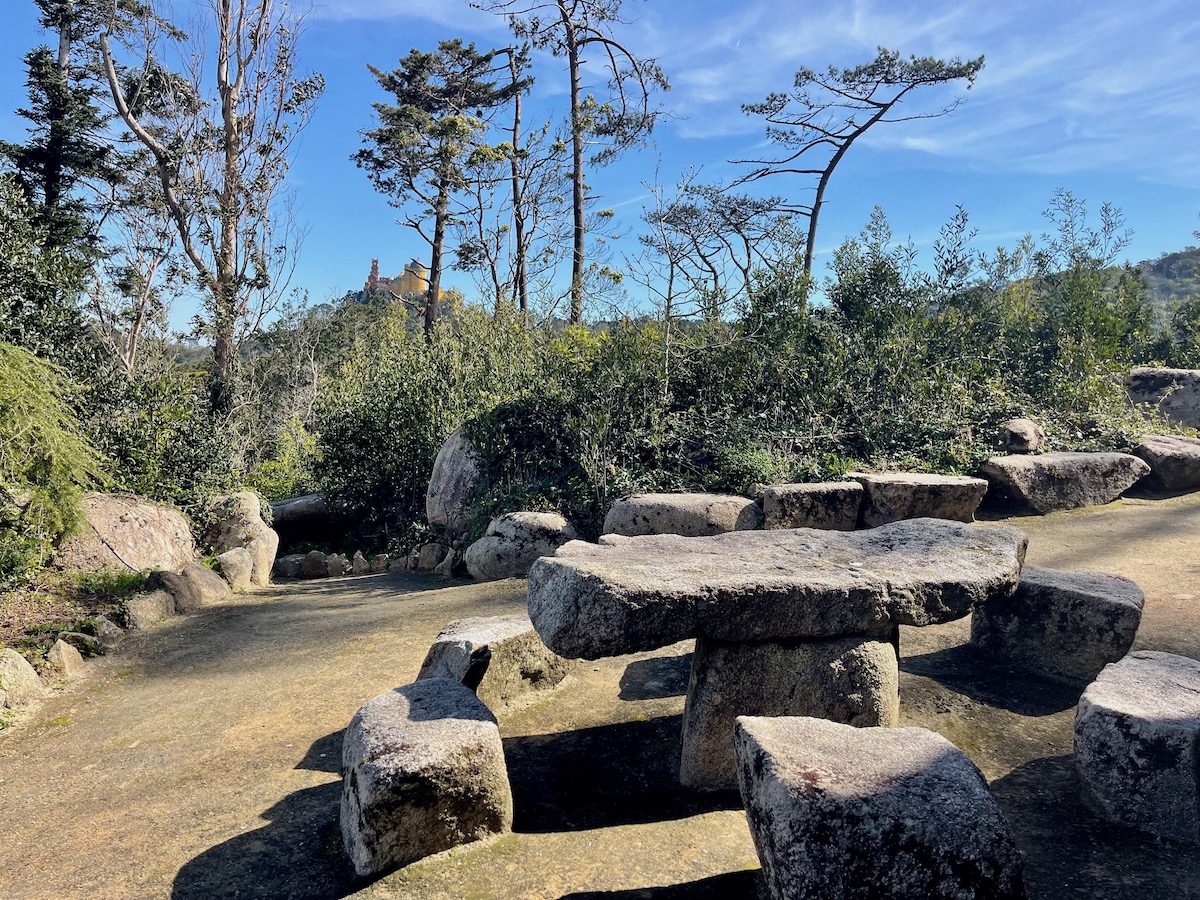 茶の丘のピクニックテーブル