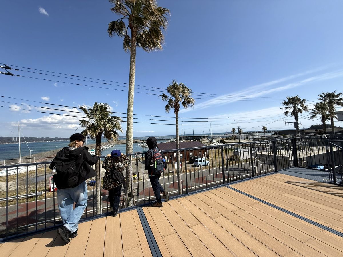 展望デッキから見える太平洋