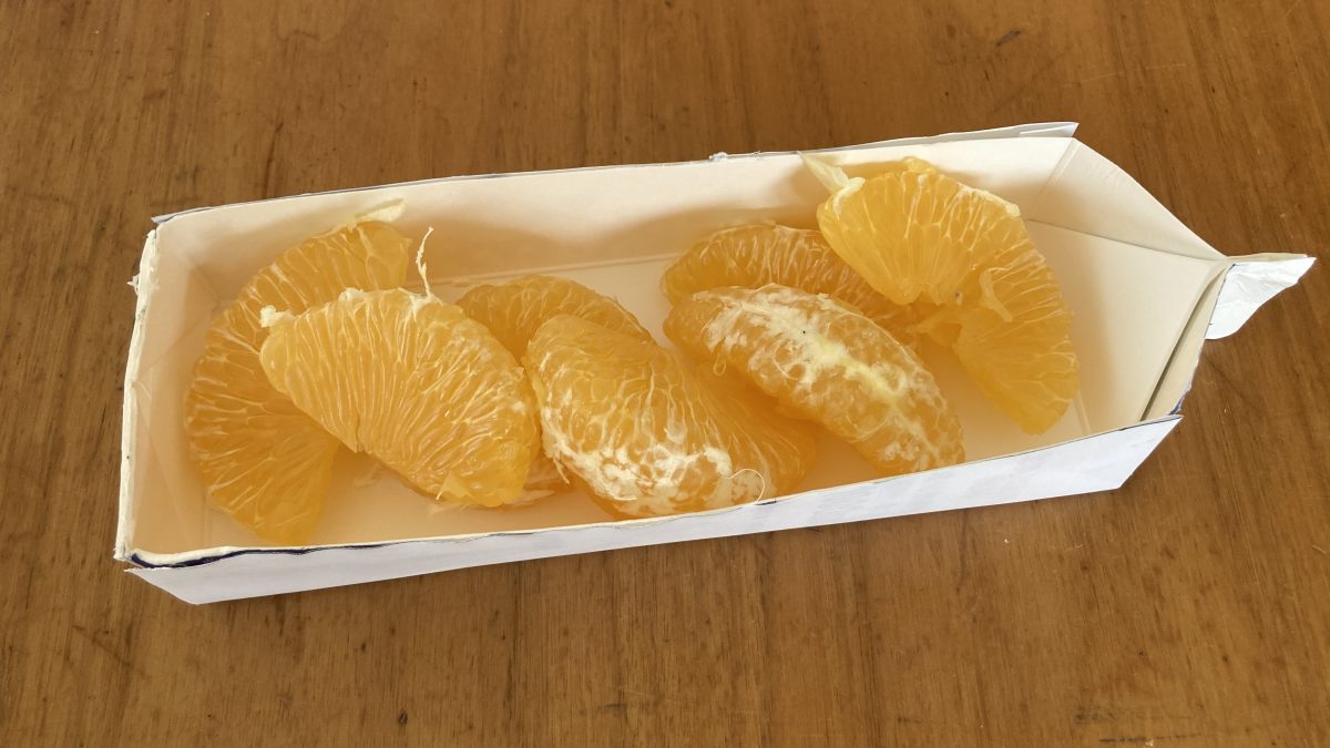 牛乳パックのお皿と柑橘