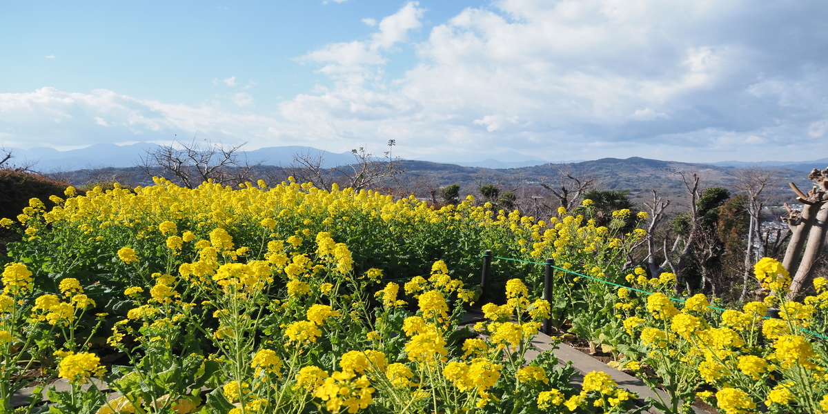 神奈川県の西部はアウトドア好きに便利なのだ！  居住者が語る、山・海・川の魅力