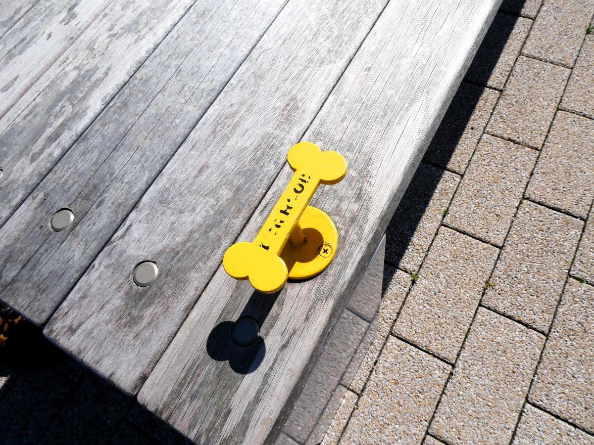 ドッグフレンドリーなスペース