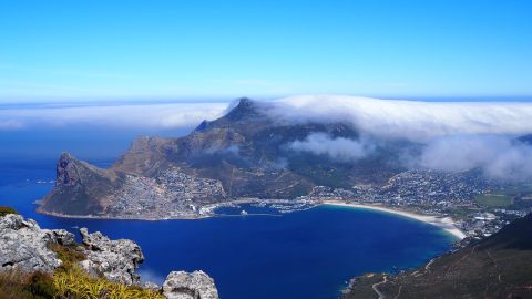 南アフリカから太平洋を一望！ケープタウンの世界自然遺産でネイティブフラワーを探す日帰りハイキング