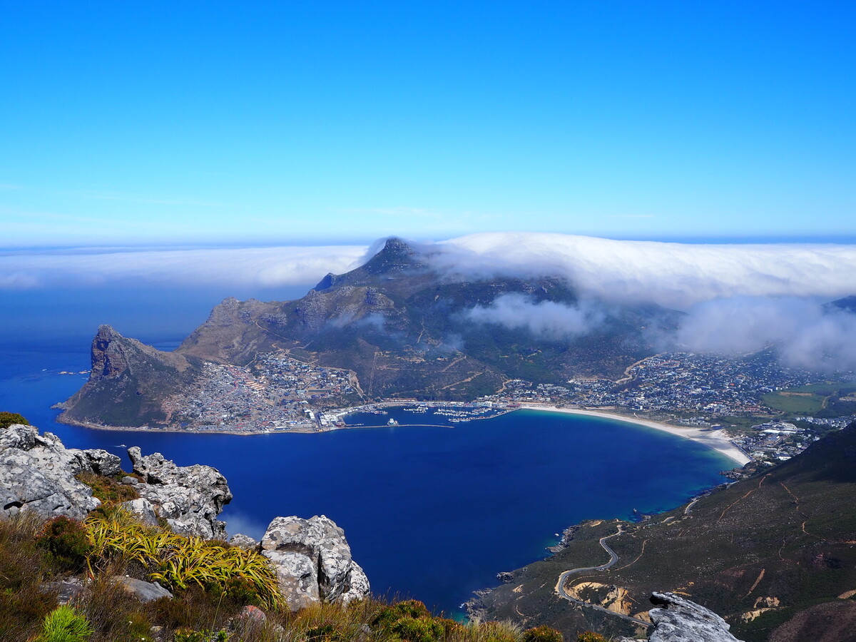 南アフリカから太平洋を一望！ケープタウンの世界自然遺産でネイティブフラワーを探す日帰りハイキング