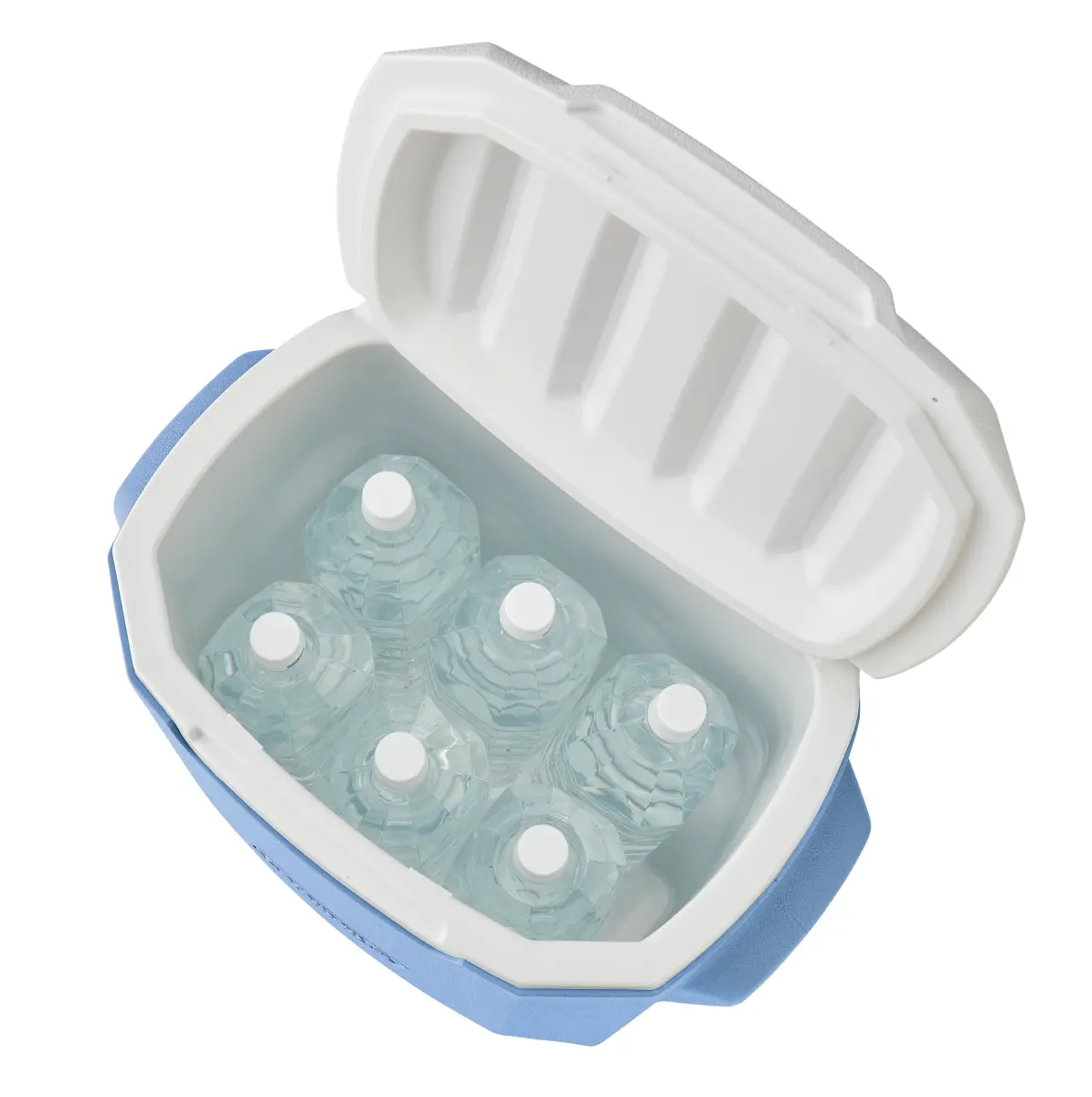 Coleman (コールマン) ／ テイク9（デイドリーム）