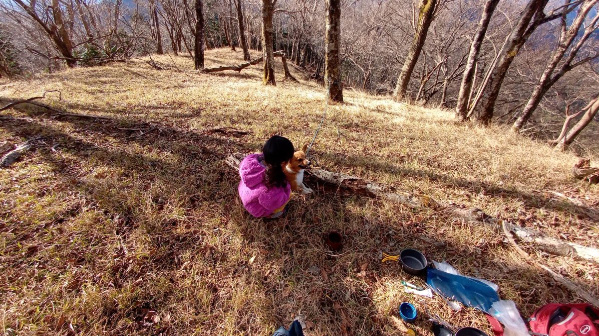 ファミリーハイク