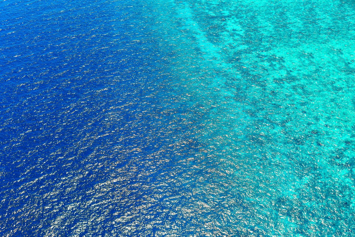 海