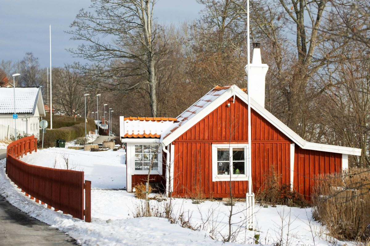 雪が積もった道や建物