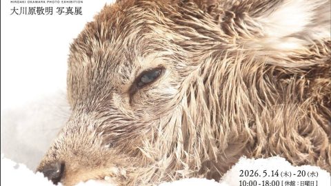 狩猟家・黒田未来雄が「命」と向き合う現場を追う。「大川原敬明 写真展 shooting a life」が開催！