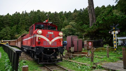 憧れの台湾の山岳鉄道、阿里山森林鉄路についに乗車！