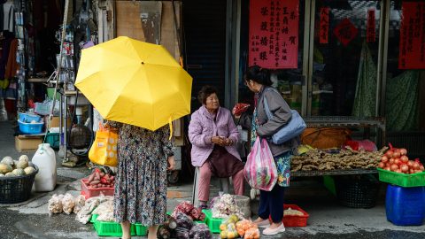 台東から花蓮まで、太平洋に面した台湾の東海岸を、列車で北へ