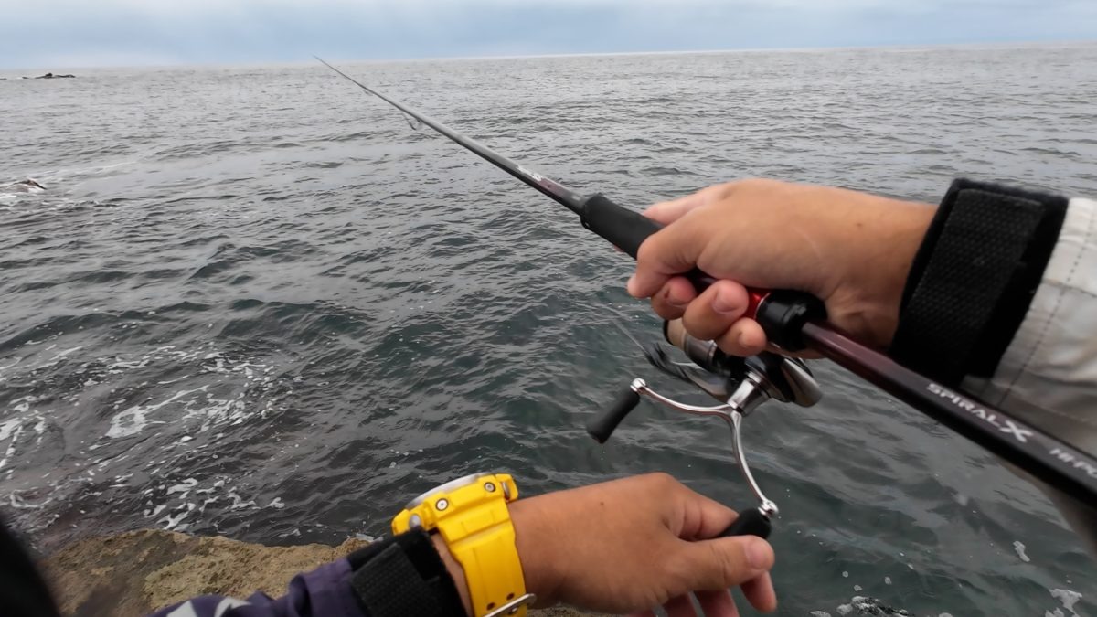 エギングロッド