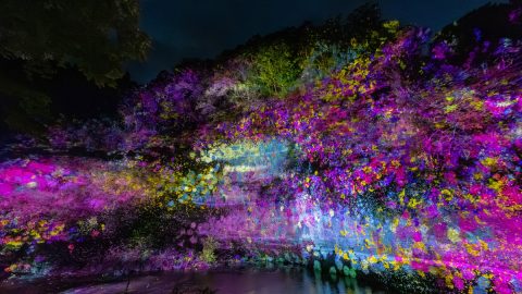史上最大サイズの「チームラボ 養老渓谷」がすごい！夜の養老渓谷で絶景と自然を体験したぞ