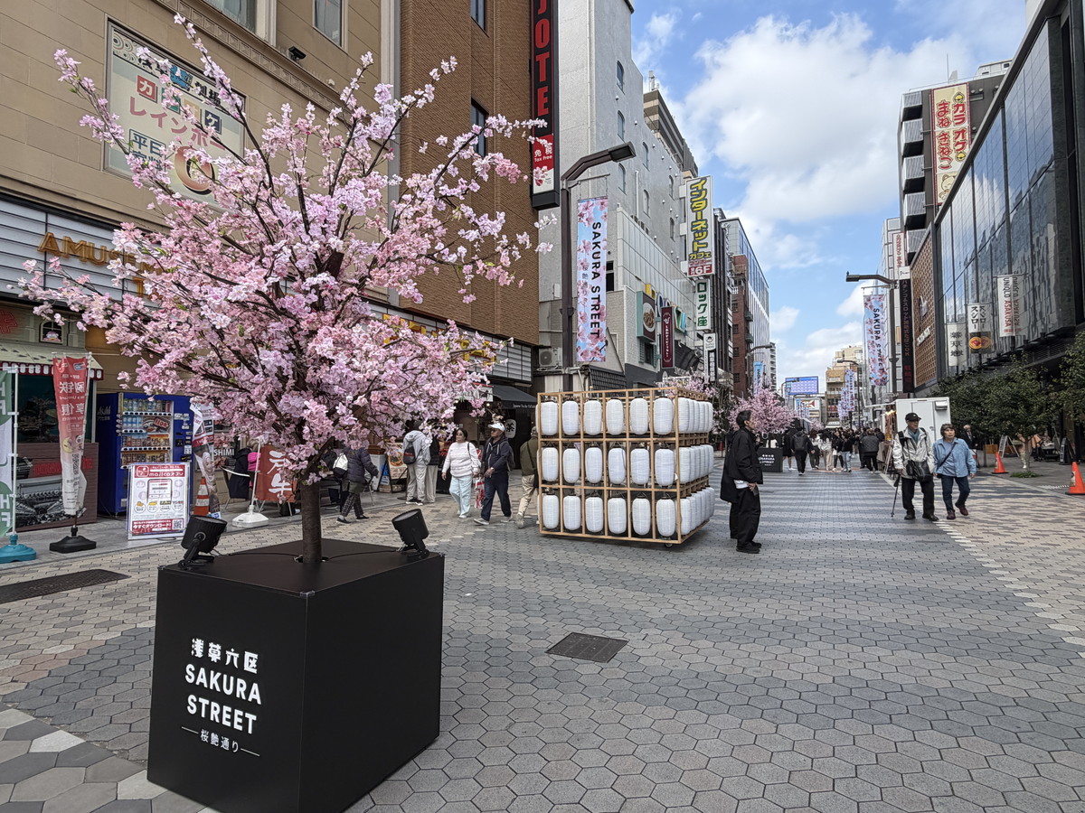 浅草六区で桜並木や和のパフォーマンス!「浅草六区 SAKURA STREET -桜艶通り-」が開催中