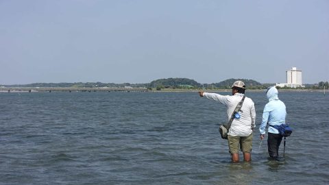 浜名湖でフライフィッシング！クロダイ釣り歴25年のプロがコスパ最高の釣りを伝授