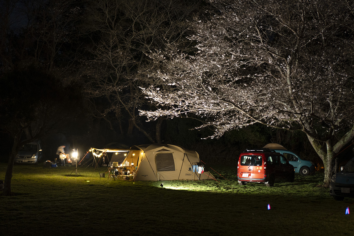 カングーキャンプ