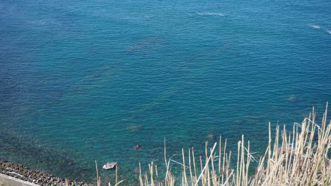 自分だけの釣り場を開拓するコツは？秘密のポイントの見つけ方と注意点を教えます