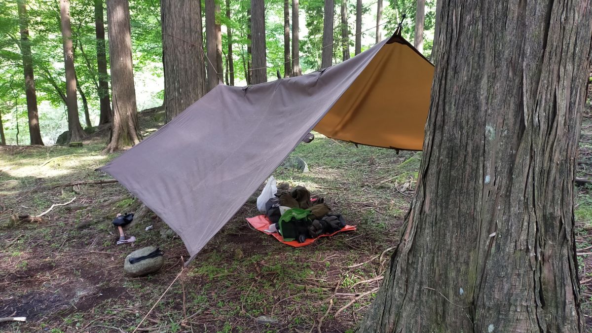 タープを低く張った様子。