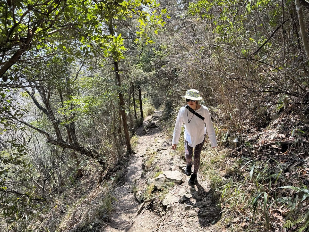 険しいトレイル