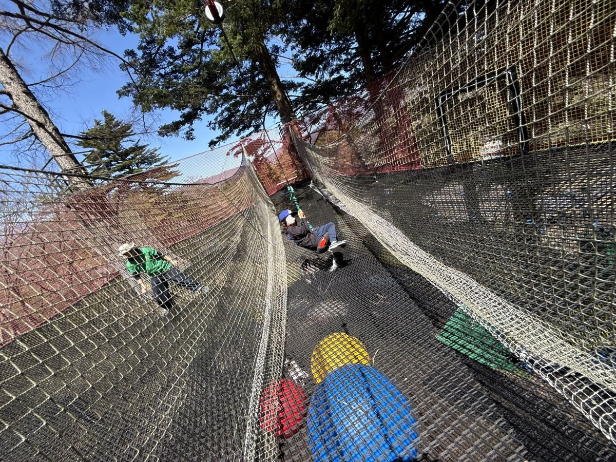 ターザンロープで遊ぶ