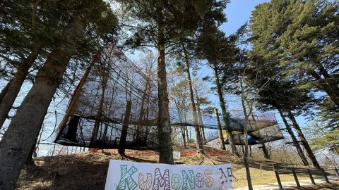 できたばかりの「軽井沢あそびの森」へ。ネットアスレチックと久々の家族サイクリングで休日を満喫