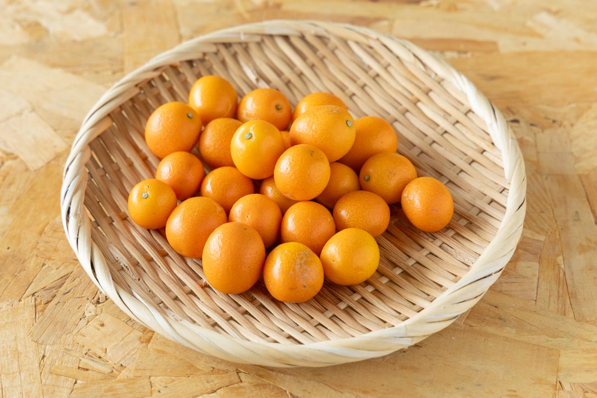 ざるに載せたきんかん