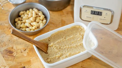 最短１日でできるカンタン手前みそ！「白みそ（西京みそ）」の作り方