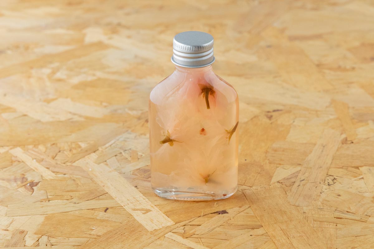 桜のシロップ漬け