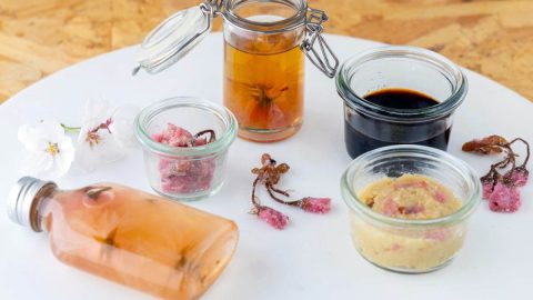 桜の塩漬けで作る「さ・し・す・せ・そ調味料」のレシピ！春の色と香りを楽しもう