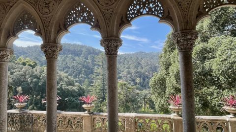 巨大な松ぼっくりも！世界の植物が集まるポルトガルの「モンセラート宮殿」へGO