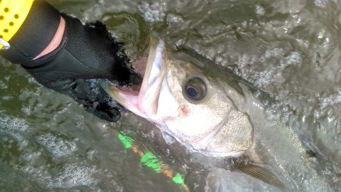 釣りの達人は所作に現れるってホント!?  真似したい特徴5選