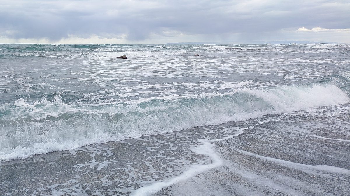 荒れた海
