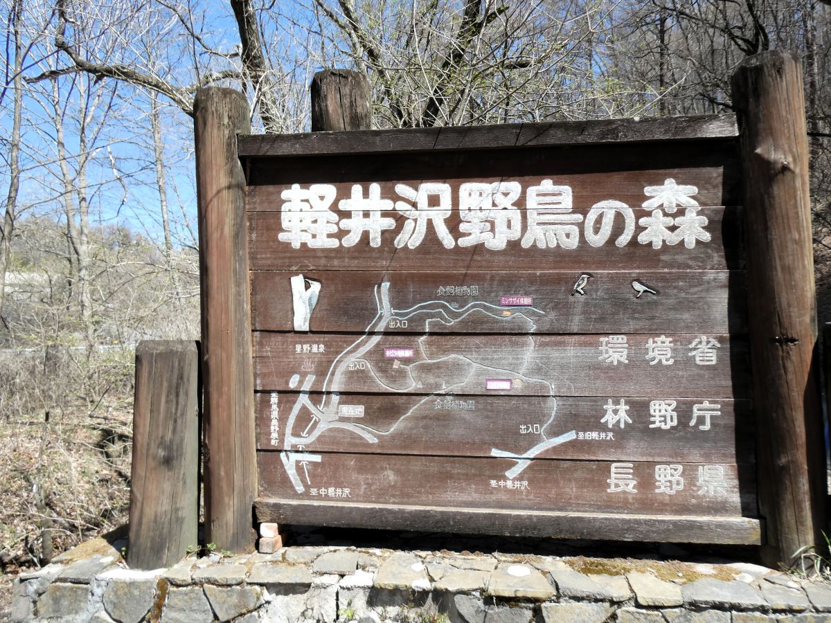 野鳥の森の案内図