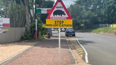 カバ出没注意？南アフリカ初のユネスコ世界遺産の保護区でボートサファリを満喫したぞ！