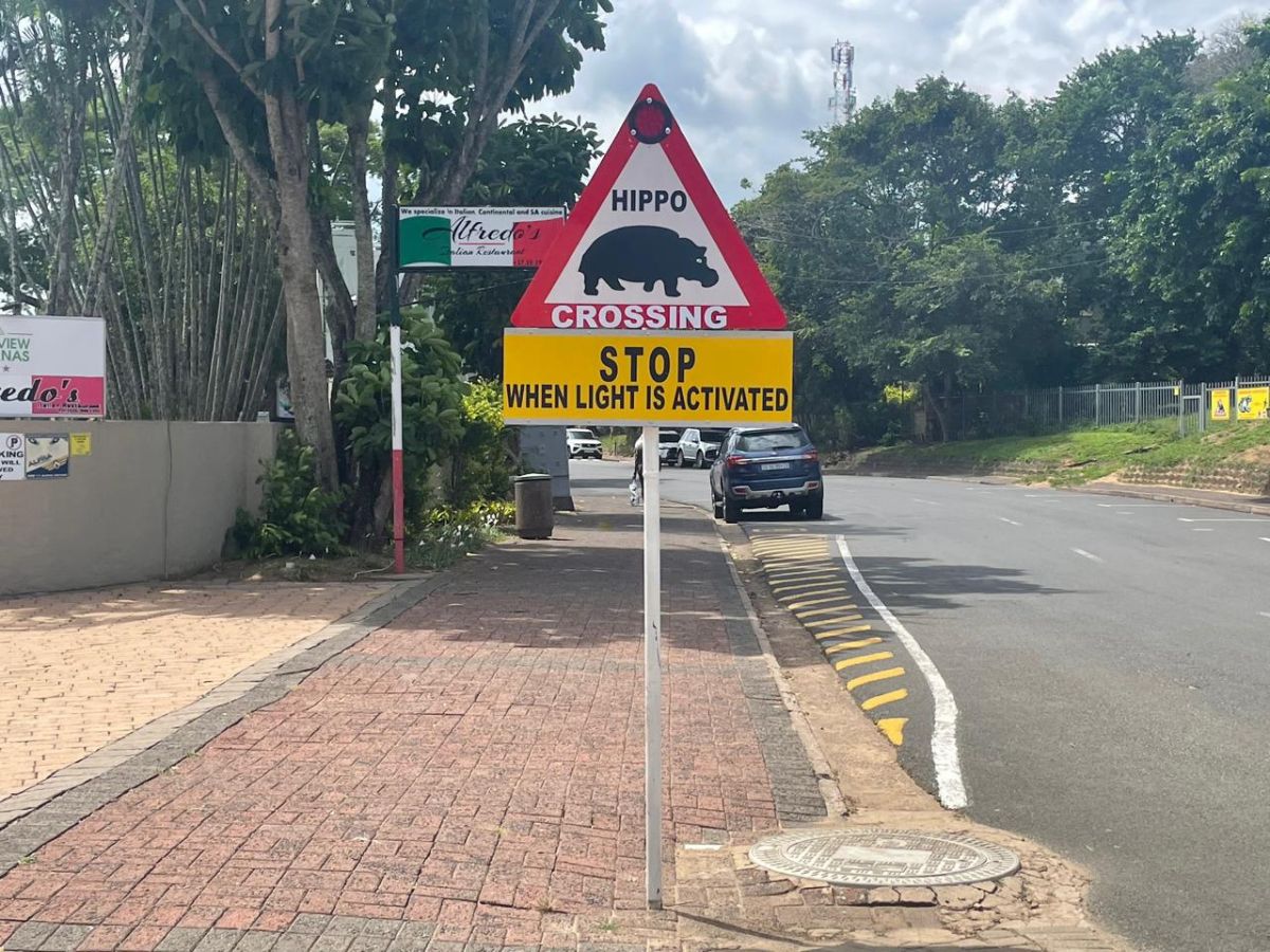 カバ出没注意？南アフリカ初のユネスコ世界遺産の保護区でボートサファリを満喫したぞ！